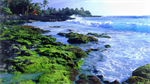 Fond d'cran gratuit de OCEANIE - Hawai numro 65786